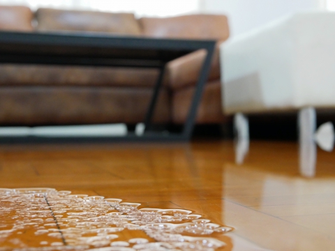 When to Replace Your Hardwood Floors 1