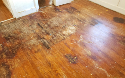 A close-up image of deeply scratched and stained oak wood floors in need of refinishing.